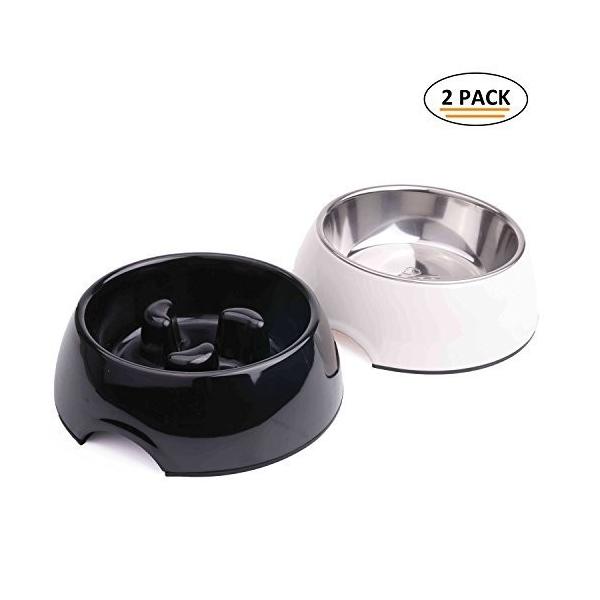 Superdesign 犬猫用 ステンレスボウル 早食い防止 取り外し可能 ボウルセット ご飯とお水入れ両用 ペット用品 餌入れ 滑り止め 給餌器 Ftfpl In