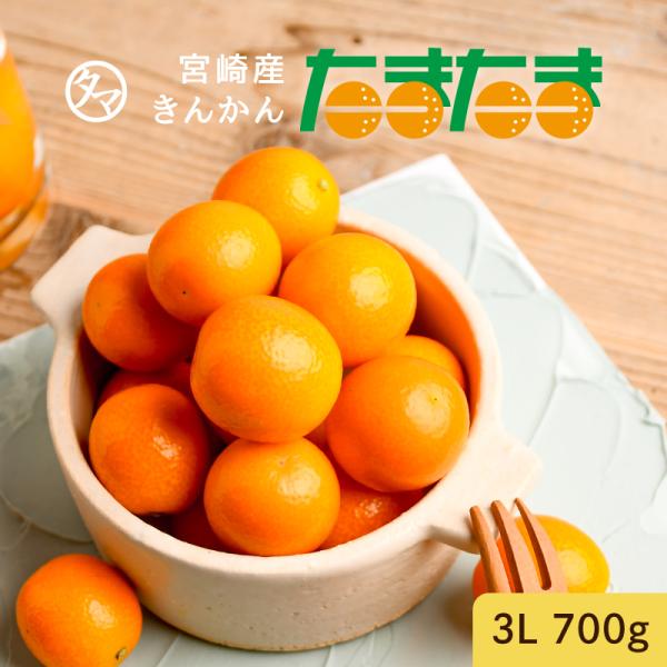 tamachanshop_1491650 tamachanshop_1491650