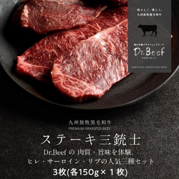 Dr.Beef Xe[L3Zbg v450g (q150g T[C150g u[X150g) OXtFbhr[t Y јa Ԑg  Mtg 