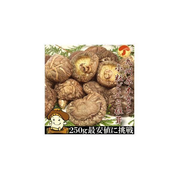 BY  ǂ 250g S S _ ؍͔|     ő ̂  Y _V o` 