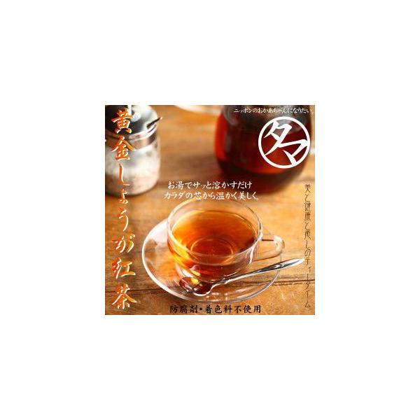 黄金しょうが紅茶粉末 140ｇ 約28杯分 生姜 紅茶 ジンジャー ホットドリンク 黒糖 飲料 送料無料 Buyee Buyee 日本の通販商品 オークションの代理入札 代理購入