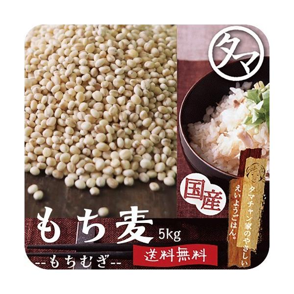  Y 5kg G H@ ߘa3NY -OJ _CGbg wV[ e N 