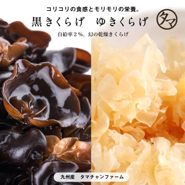 【商品名】乾燥キクラゲ【内容量】黒きくらげ40g、ゆきくらげ40g【使用方法】水またはぬるま湯で戻し料理にお使い下さい。            ※必ず加熱処理を行ってお召し上がりください。※黒きくらげの表面に見られる白いものは胞子ですので、...