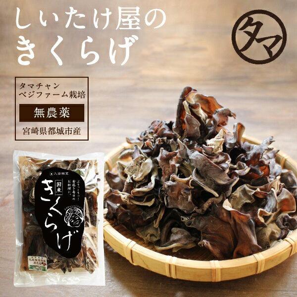 【商品名】国産乾燥キクラゲ【内容量】250g（約2.5kgの生キクラゲを使用）【使用方法】お湯でゆっくり（30分〜1時間）戻して料理にお使い下さい。            ※必ず加熱処理を行ってお召し上がりください。※黒きくらげの表面に見ら...