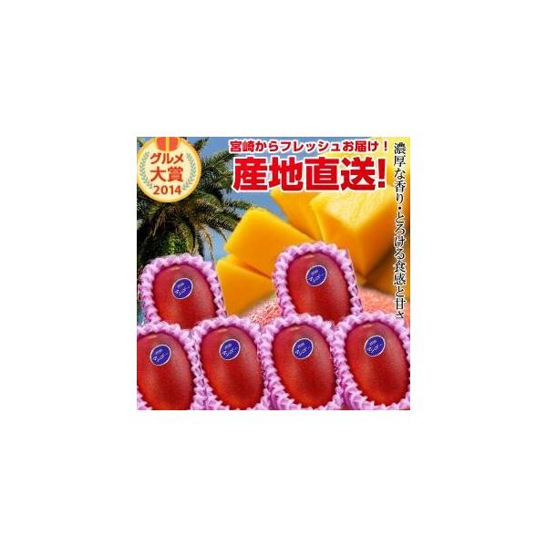 母の日マンゴーセット　　L2　　2 母の日マンゴーセット L2