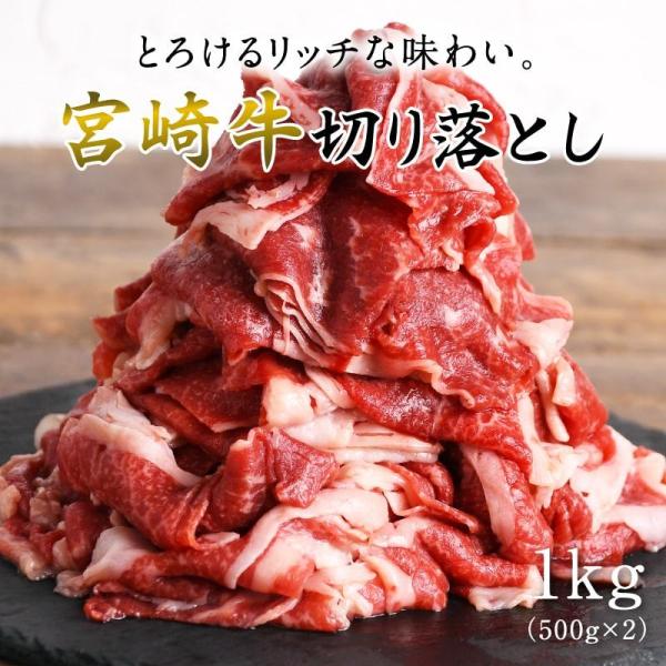 宮崎牛切り落とし 1kg(500g×2パック) #元気いただきますプロジェクト（和牛肉）食品 肉 牛肉 黒毛 和牛 国産牛 すき焼き 送料無料