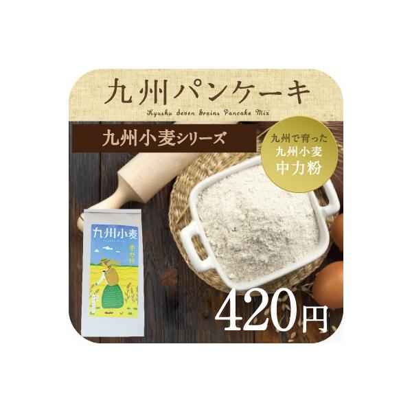 九州小麦 中力粉 チクゴイズミ 小麦 九州産 国産 スイーツづくり 菓子 材料