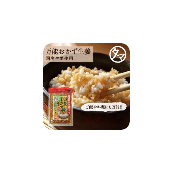 【商品詳細】おかず生姜【内容量】１３０ｇ【原産地】国産【原材料】生姜,漬け原材料(醤油,砂糖,食塩,米黒酢)/調味料(アミノ酸),酸味料,乳酸Ca(ビタミンC)(一部に小麦・大豆を含む)【栄養成分】100g当たりエネルギー：44kcal、た...