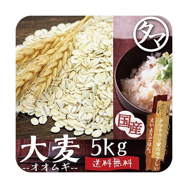 大麦 九州産 5kg(250g×20袋) 押し麦 胚芽押し麦 雑穀 食物繊維 ダイエット 送料無料