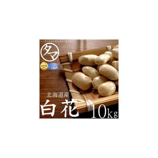 白花豆 10kg 北海道産 令和6年産 国産 まめ 豆 生豆 業務用 送料無料