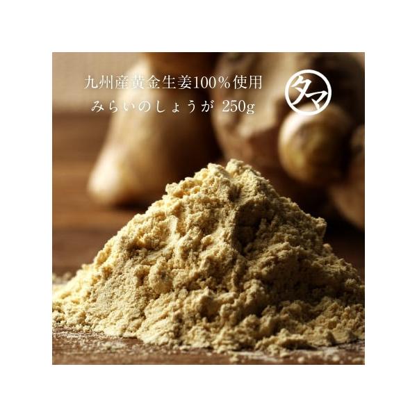 みらいのしょうが (生姜粉末) 250g 黄金生姜 & 黒蒸し生姜 無添加 熟成 ブレンド 生姜粉末 ジンジャー パウダー 業務用 送料無料 /【Buyee】 みらいのしょうが (生姜粉末) 250g 黄金生姜 & 黒蒸し生姜 無添加 熟成 ブレンド 生姜粉末 ジンジャー パウダー 業務用 送料無料 /【Buyee】