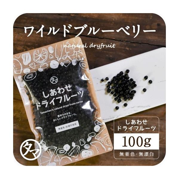 ブルーベリー 100gの人気商品 通販 価格比較 価格 Com