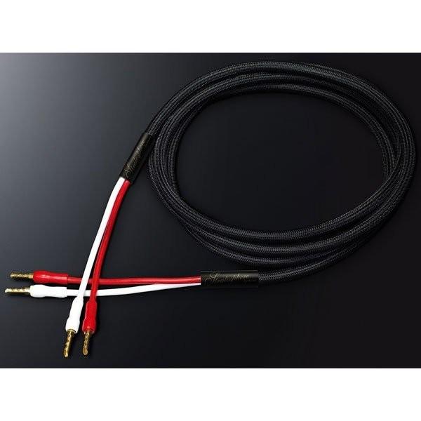 SAEC Xs[J[P[u STRATOSPHERE SP-10B-B 1.5m yA oiivOt TGN I[fBIpXs[J[P[u