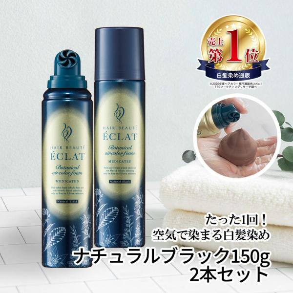 白髪染め リタッチ 全体染め 部分染め ヘアカラー 医薬部外品 ヘアボーテエクラ ボタニカルエアカラーフォームEX 選べる3色 150g２本セット ナチュラルブラック