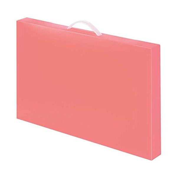 【ご購入後の当店からの連絡はご登録のメールアドレスに通知いたします。必ずご確認ください】【商品概要】マチなし/マチありポケット付6ポケット/厚口4つ切画用紙(W540×H380mm)収納可能/CD・DVD入れ8枚W45cm×H29.5cm×...