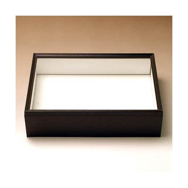 【ご購入後の当店からの連絡はご登録のメールアドレスに通知いたします。必ずご確認ください】シーラ箱 （標準タイプ） 昆虫 標本用品 標本箱