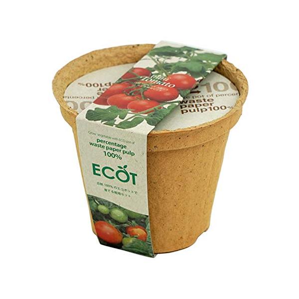 【ご購入後の当店からの連絡はご登録のメールアドレスに通知いたします。必ずご確認ください】【商品概要】原産国:日本素材・材質:再生古紙セット内容:種 培養土 鉢底シート 再生パルプポット 説明書【商品説明】地球にやさしい国産エコポットでミニト...