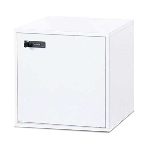 ⭐︎貴重　国内正規品⭐︎Summer  BOXセット 1-8548-02 アイビスロングチップ ボックスパック／ラック×10