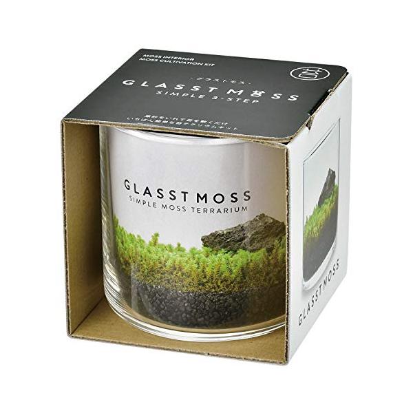 【ご購入後の当店からの連絡はご登録のメールアドレスに通知いたします。必ずご確認ください】【商品概要】サイズ:8.5×8.1×高さ8.6cmセット内容:グラス スナゴケ 黒砂 溶岩石 説明書【商品説明】説明苔テラリウムは作るのもお手入れするの...