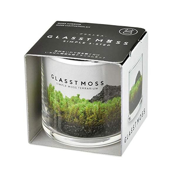 【ご購入後の当店からの連絡はご登録のメールアドレスに通知いたします。必ずご確認ください】【商品概要】S【商品説明】苔テラリウムは作るのもお手入れするのも難しいと思っていませんか?「グラストモス」なら、あっという間におしゃれな苔テラリウムが完...