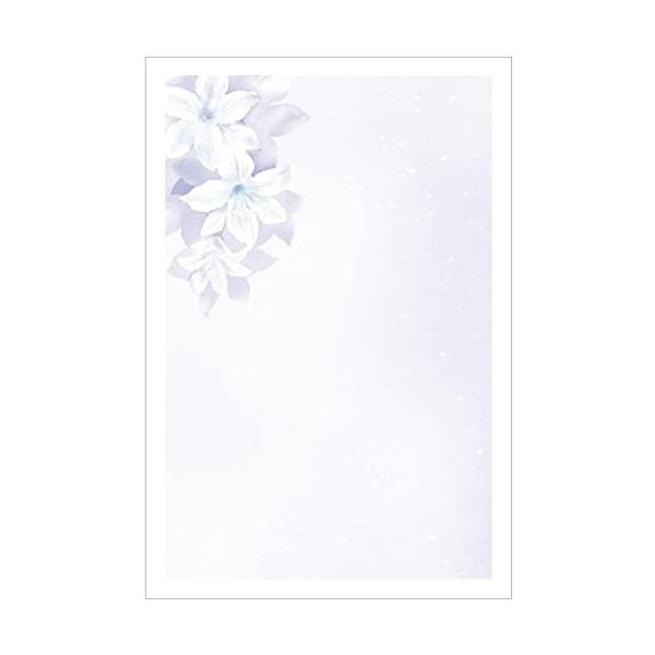 【ご購入後の当店からの連絡はご登録のメールアドレスに通知いたします。必ずご確認ください】【商品概要】弔事用ハガキ（絵柄のみ）／1セット10枚入り胡蝶蘭切手付き官製はがき（再生紙）絵柄のみ印刷済み／手書き向け喪中はがきや、死亡通知・寒中見舞い...