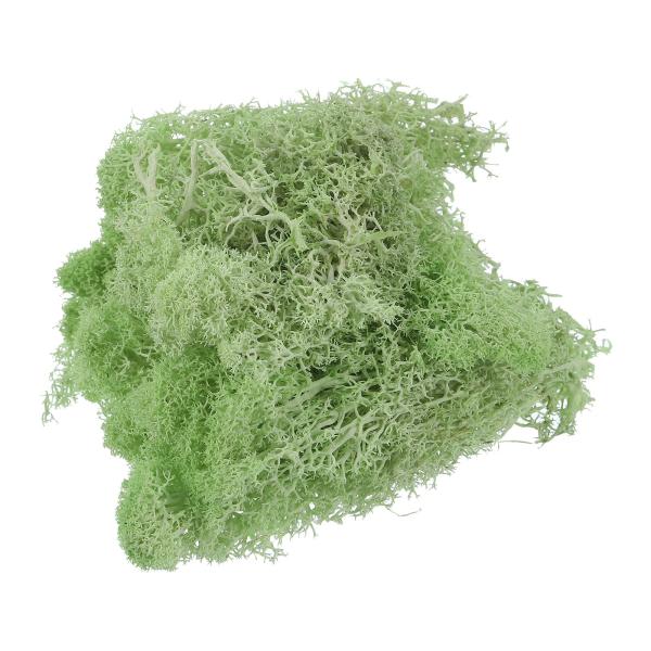 【商品概要】重量：50g/1.8OZ; カラー：ライト緑; 材質：乾燥苔; パッキングリスト: 1個 x プリザーブドモス利点: 当社のプリザーブド苔は、自然に生えた苔を脱水、脱色、乾燥、染色などの複雑な工程を経て加工したものです。苔の組織...