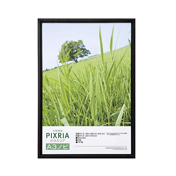 他サイト： ハクバ HAKUBA 木製 額縁 ピクスリア A3ノビサイズ ブラック ポスターフレーム フォトフレーム 前面PET板 吊り紐付きFWPX-BKの商品画像