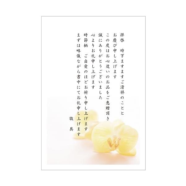 お礼状 ハガキ 10枚 私製はがき お中元 お歳暮 お祝い お礼はがき アルファプリントサービス〈S-OR701 コチョウラン〉