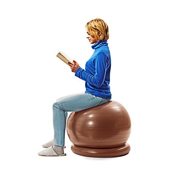 サクライ貿易 SAKURAI エルガム(erugam) バランスボール 腰にイイス 55cm プレゼント 安定リング ポンプ付 #54145