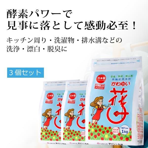 䂢Ԏqi1kg×3܁j_fnGRY ߒY_\[_ƍyf̗͂ŉꌃ EYEہEL ̂uŊKI