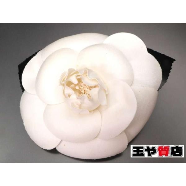 tamaya-chibaken_a0136