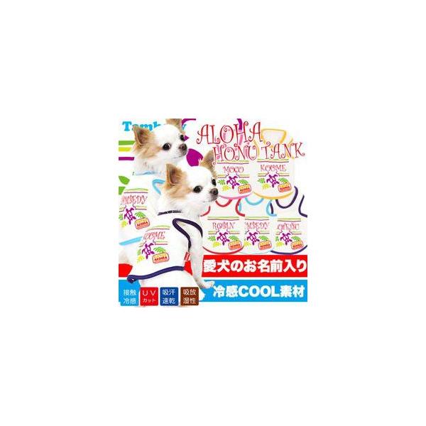    tėp M ΍ gCv[h ` O ⊴N[ Anzks`mj BW