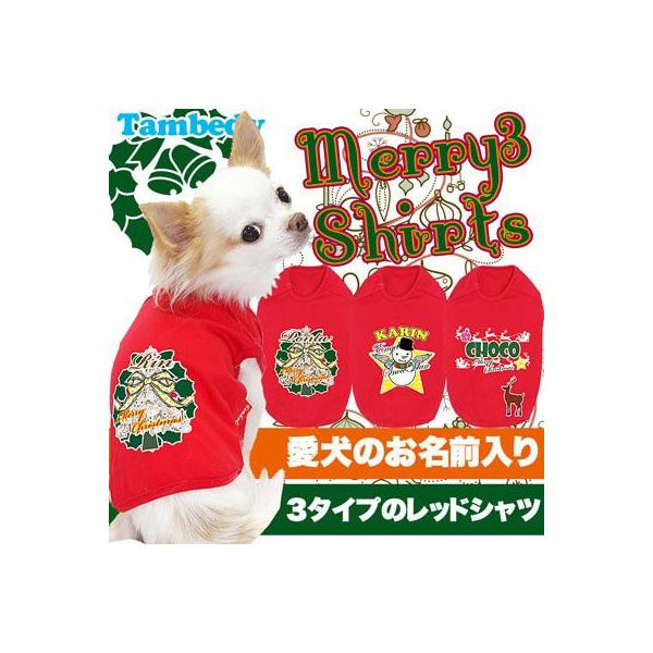 _SiP5{2423:59܂Ł^   t ΍ Ђ gCv[h `  O [3 VcNX}X