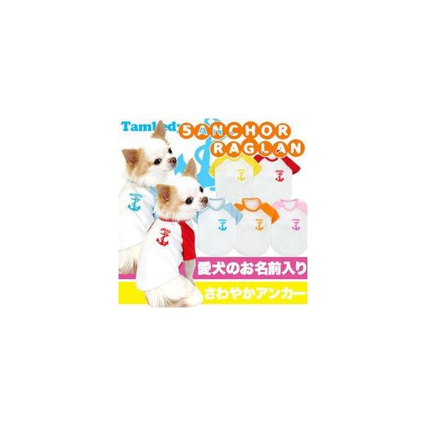 _ő1000~It3023:59܂Ł^  ̕  t ybg gCv[h `   O 5AJ[ O(O/F/RA/L/)