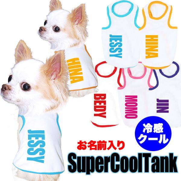 犬服専門店タムベディ Tambedy Dog Wear