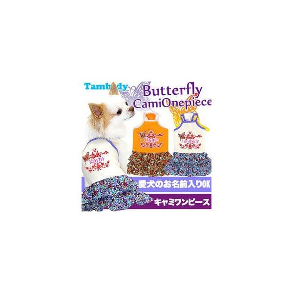 _SiP5{2423:59܂Ł^  ybgEFA  t ybg ` _bNX gCv[h  킢 O o^tC L~s[X