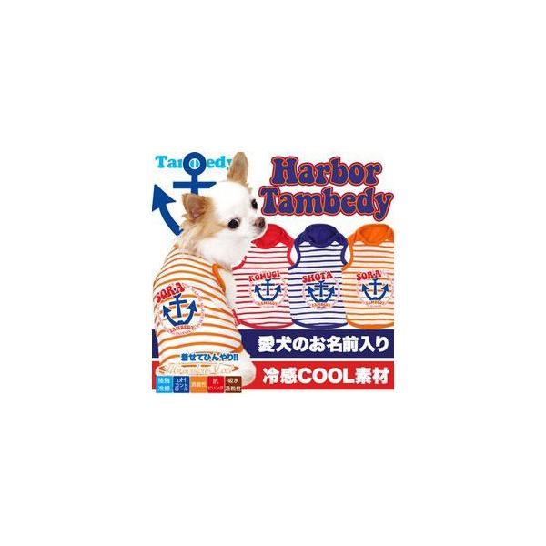 _񌎃Z[JÒ^  ̕ t gCv[h `O n[o[^xfB ^Ngbv