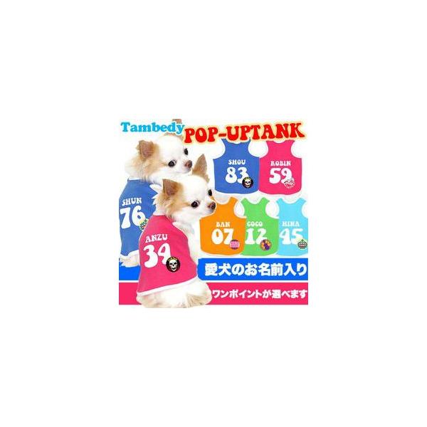 _SiP5{2423:59܂Ł^   H~ ΍ gCv[h `   O |bvAbv ^Ngbv(O/F/T/L/)