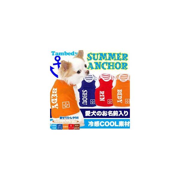  ЂgCv[h ` O ⊴N[ T}[AJ[ ^Ngbv