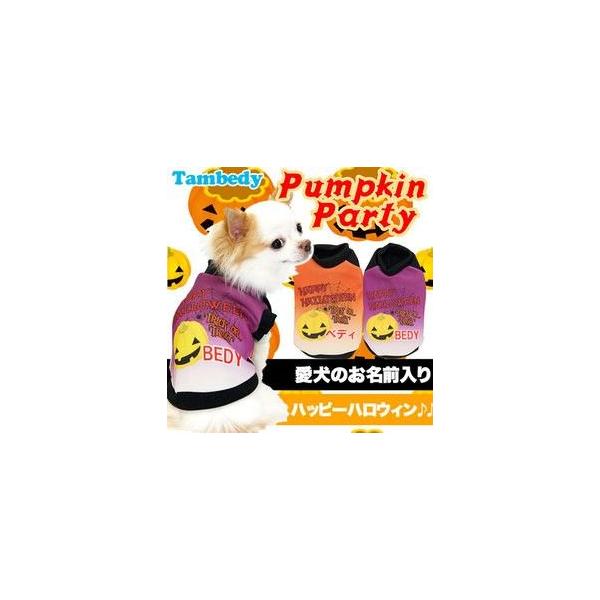 _SiP5{2423:59܂Ł^   H~ WbNI^ ` gCv[h O nEB pvLp[eB 3D