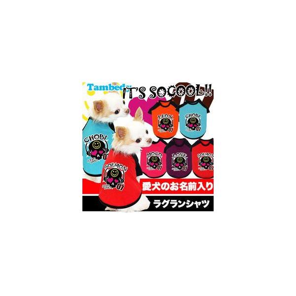 _SiP5{2423:59܂Ł^  hbOEFA  H~ gCv[h `   O Cbc\[N[ O(O/F/RA/L/)