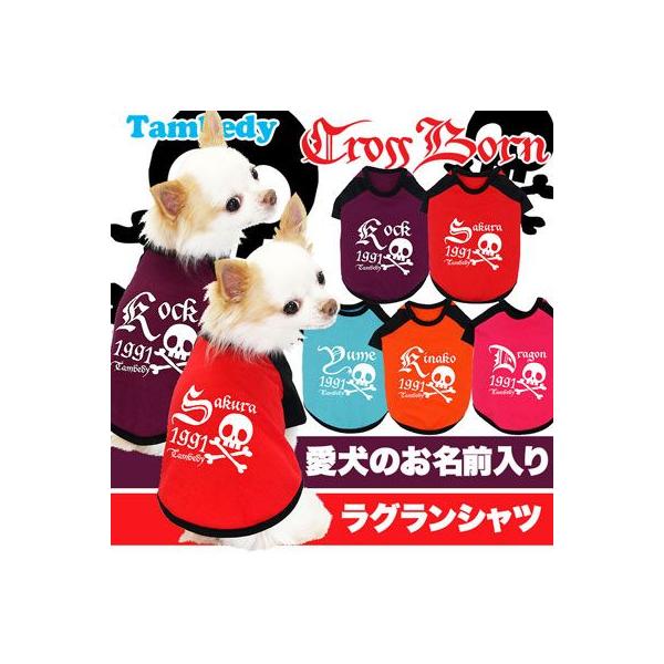   ̕  H~ \ gCv[h `   O NX{[ O(O/F/RA/L/)