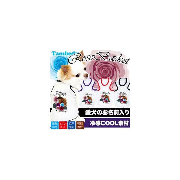   tėp Ђ ` O ⊴N[ [YoXPbg ^Ngbv BW