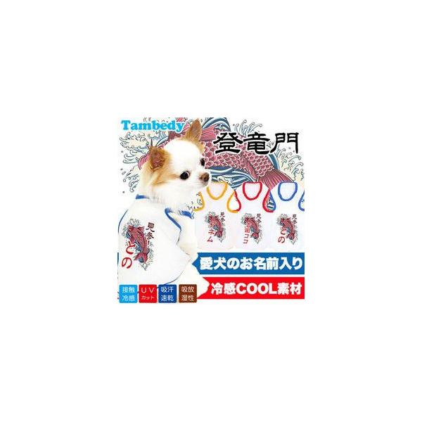   ̕ Ђ a gCv[hO ⊴N[ o ^Ngbv BW