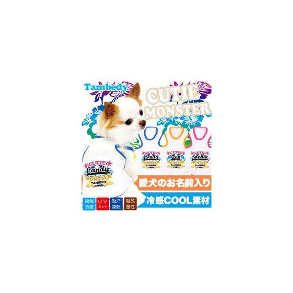 _SiP5{2423:59܂Ł^  ΍ gCv[h@ O ⊴N[ L[eBX^[ ^Ngbv BW