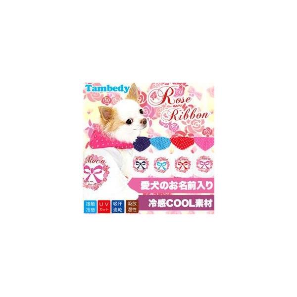    tėp Ђ ΍ gCv[h ` O ⊴N[ [Y{ p[J[ BW