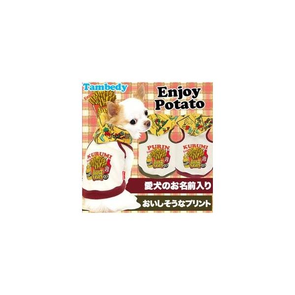 _SiP5{2423:59܂Ł^   H~ no[K[ gCv[h `  ʔ O GWC|eg 3D