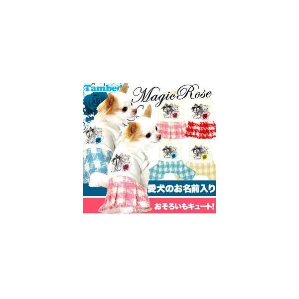 _SiP5{2423:59܂Ł^   H~ `FbN gCv[h `  O }WbN[Y Ȃs[X(H/)