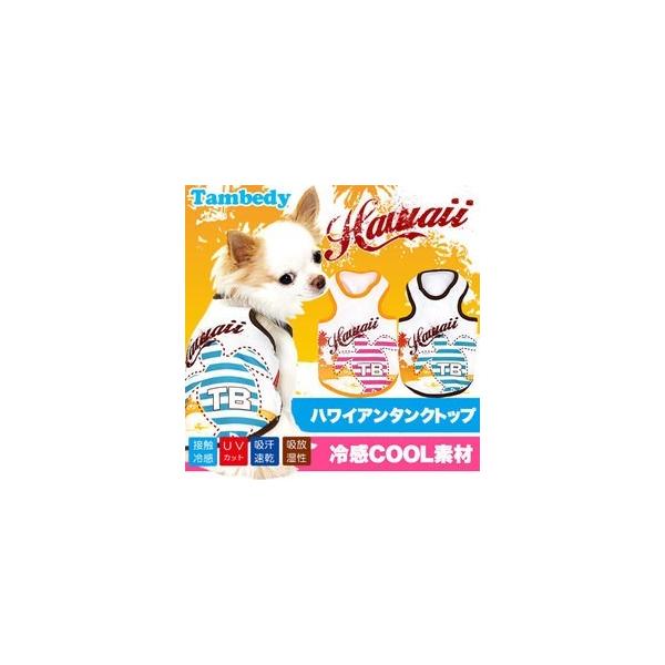   tėp ΍ Ђ gCv[h `  ⊴N[ nC ^NgbvBw