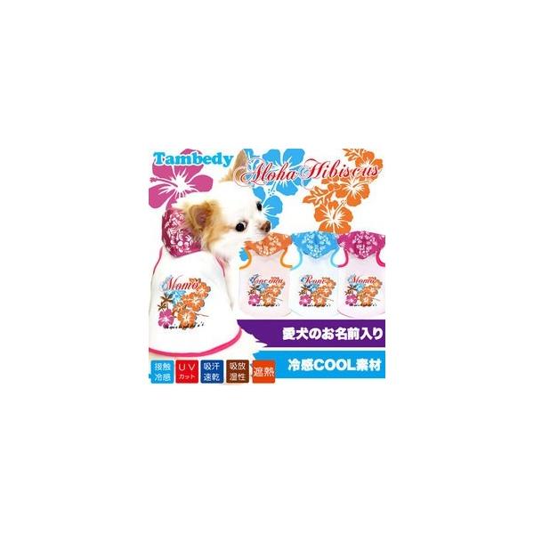 _ő1000~It3023:59܂Ł^   tėp ΍ Ђ gCv[h O ⊴N[ AnnCrXJX p[J[ BW